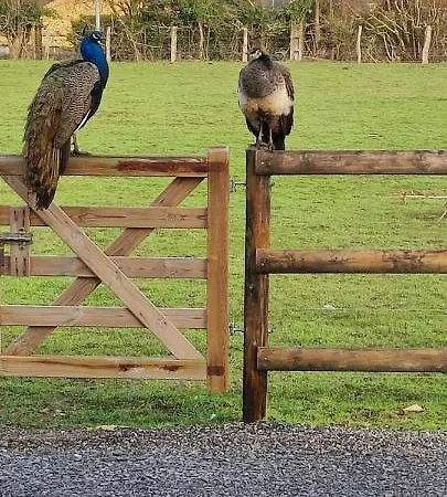 Ma Roulotte Adoree * Bissieres