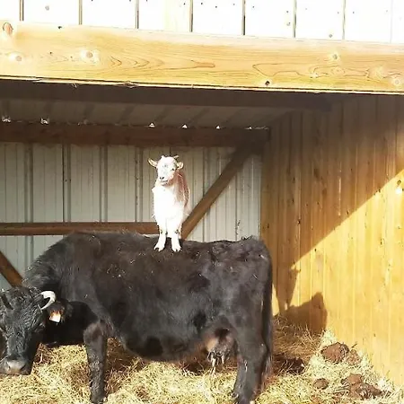 Ma Roulotte Adoree *