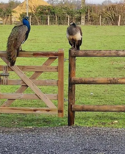 Ma Roulotte Adoree * Bissieres