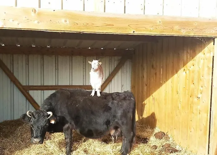 Ma Roulotte Adoree *